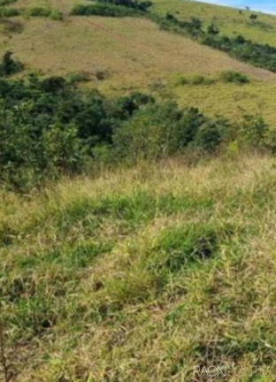 Imagem Fazenda à Venda, 8.373.200 m² em Zona Rural - Jacutinga Imagem Fazenda à Venda, 8.373.200 m² em Zona Rural - Jacutinga