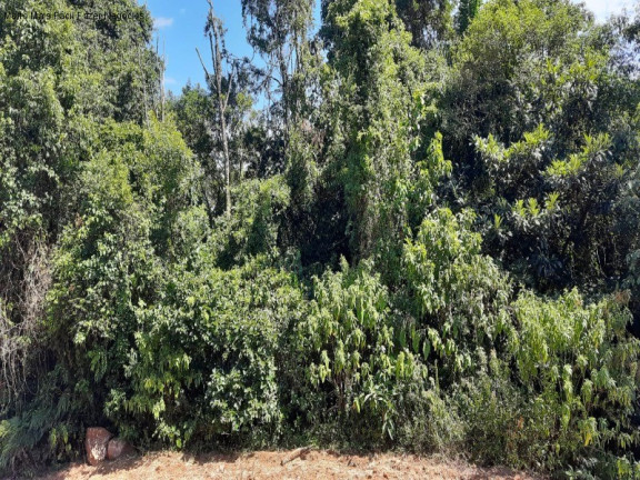 Imagem Terreno à Venda, 13 m² em Linha Olinda - Nova Petrópolis Imagem Terreno à Venda, 13 m² em Linha Olinda - Nova Petrópolis