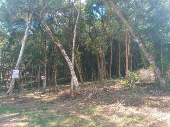 Imagem Terreno à Venda, em Planta Granjas Eldorado - Piraquara Imagem Terreno à Venda, em Planta Granjas Eldorado - Piraquara