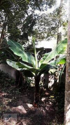 Imagem Terreno à Venda, 1.100 m² em Colônia - Ribeirão Pires Imagem Terreno à Venda, 1.100 m² em Colônia - Ribeirão Pires
