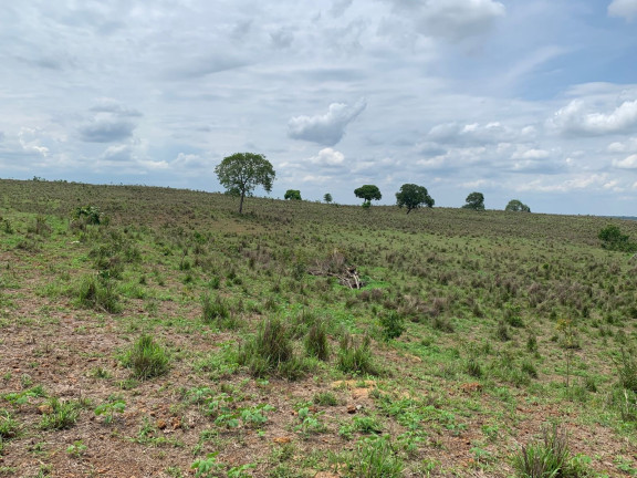 Imagem Imóvel à Venda,  em Divinópolis Do Tocantins/to - Divinópolis Do Tocantins