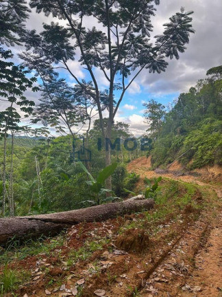 Imagem Chácara à Venda, 92.575 m² em Três Rios Do Norte - Jaraguá Do Sul Imagem Chácara à Venda, 92.575 m² em Três Rios Do Norte - Jaraguá Do Sul