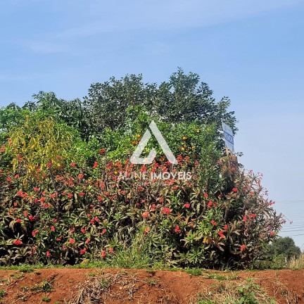 Imagem Terreno à Venda, 312 m² em Toríbio Veríssimo - Cruz Alta Imagem Terreno à Venda, 312 m² em Toríbio Veríssimo - Cruz Alta