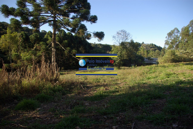 Imagem Imóvel com 1 Quarto à Venda, 19.700 m² em Campestre - Muzambinho Imagem Imóvel com 1 Quarto à Venda, 19.700 m² em Campestre - Muzambinho