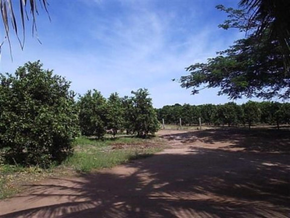 Imagem Imóvel à Venda, 132.000 m² em Parada - Artur Nogueira Imagem Imóvel à Venda, 132.000 m² em Parada - Artur Nogueira