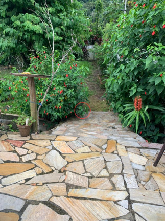 Imagem Casa com 3 Quartos à Venda, 200 m² em Boiçucanga - São Sebastião