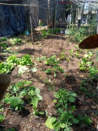 Imagem Imóvel com 3 Quartos à Venda, 150 m² em Recreio Topázio (caucaia Do Alto) - Cotia