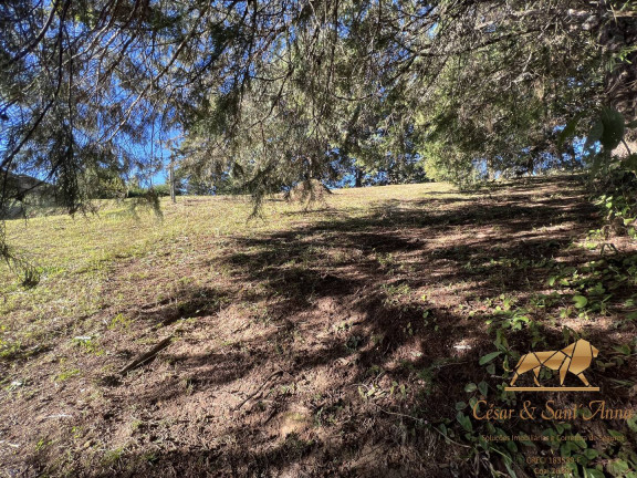 Terreno à Venda, 1.166 m² em Alto Da Vila Inglesa - Campos Do Jordão