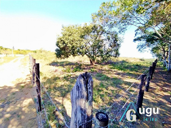 Imagem Chácara à Venda, 117.280 m² em Lameirão - Guarapari Imagem Chácara à Venda, 117.280 m² em Lameirão - Guarapari