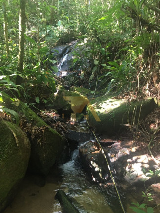 Imagem Fazenda à Venda, 15 m² em Laranjal - Imaruí Imagem Fazenda à Venda, 15 m² em Laranjal - Imaruí
