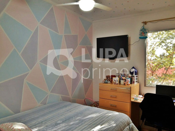 Imagem Apartamento com 3 Quartos à Venda, 64 m² em Vila Constança - São Paulo Imagem Apartamento com 3 Quartos à Venda, 64 m² em Vila Constança - São Paulo