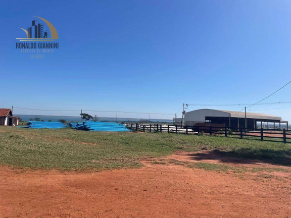 Imagem Fazenda à Venda, 12.490.000 m² em Vila Maria - Santa Fé Do Sul Imagem Fazenda à Venda, 12.490.000 m² em Vila Maria - Santa Fé Do Sul