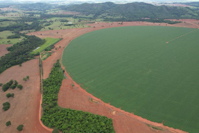 Imagem Fazenda à Venda, 60 m² em Zona Rural - Morrinhos Imagem Fazenda à Venda, 60 m² em Zona Rural - Morrinhos