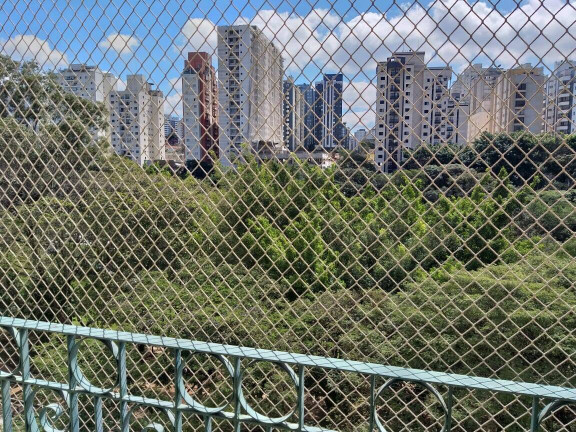 Imagem Apartamento com 2 Quartos à Venda, 67 m² em Vila Monte Alegre - São Paulo