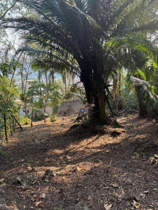 Imagem Terreno à Venda, 420 m² em Pontal (cunhambebe) - Angra Dos Reis