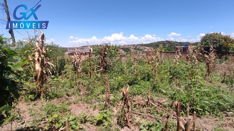 Imagem Terreno à Venda, 200 m² em Fazenda Castro - Ribeirão Das Neves Imagem Terreno à Venda, 200 m² em Fazenda Castro - Ribeirão Das Neves