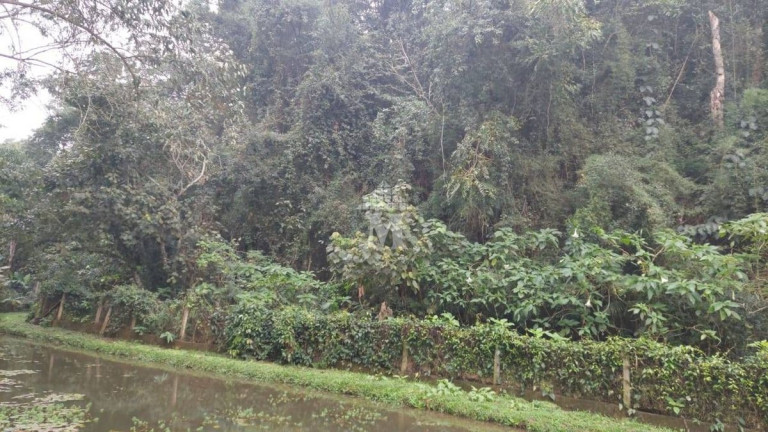 Imagem Chácara com 2 Quartos à Venda, 3.875 m² em Maracanã - Jarinu Imagem Chácara com 2 Quartos à Venda, 3.875 m² em Maracanã - Jarinu