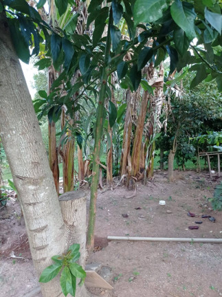 Imagem Casa com 3 Quartos à Venda, 1.020 m² em Jardim Centenário - Atibaia