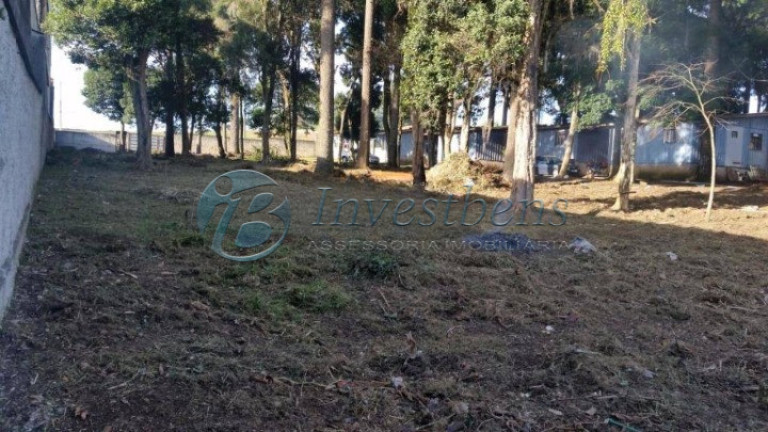 Imagem Terreno à Venda, 3.000 m² em Pinheirinho - Curitiba Imagem Terreno à Venda, 3.000 m² em Pinheirinho - Curitiba