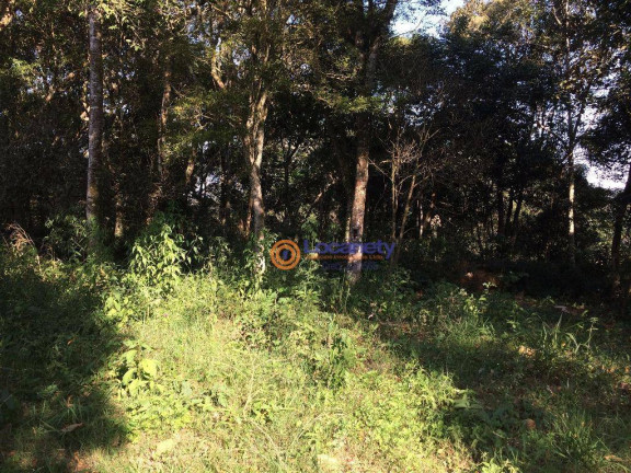 Imagem Terreno à Venda, 6.500 m² em Vila Bonita (santa Luzia) - Ribeirão Pires Imagem Terreno à Venda, 6.500 m² em Vila Bonita (santa Luzia) - Ribeirão Pires