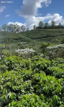 Imagem Fazenda à Venda, 11 m² em Manhumirim Imagem Fazenda à Venda, 11 m² em Manhumirim