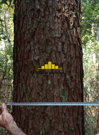Imagem Fazenda à Venda, 523 m² em São Paulo Imagem Fazenda à Venda, 523 m² em São Paulo