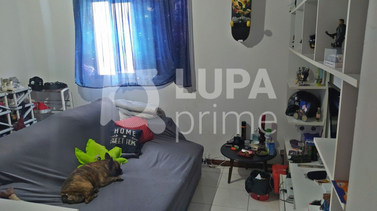 Imagem Apartamento com 3 Quartos à Venda, 90 m² em Tucuruvi - São Paulo Imagem Apartamento com 3 Quartos à Venda, 90 m² em Tucuruvi - São Paulo