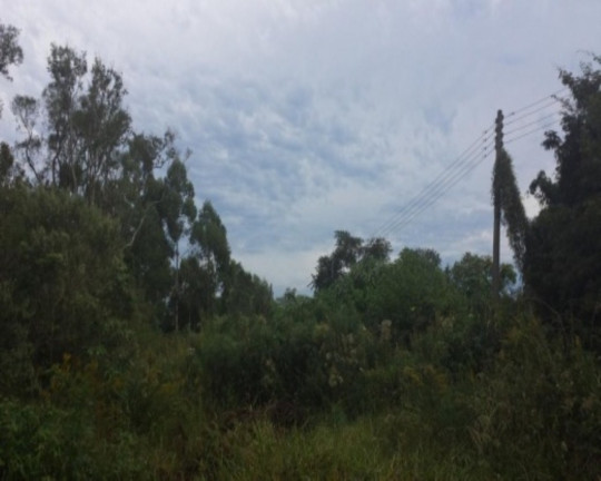 Terreno à Venda, 2.498 m² em Pousada Da Neve - Nova Petrópolis