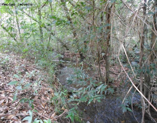 Imagem Fazenda à Venda, 164 m² em Monjolos área Rural - Monjolos Imagem Fazenda à Venda, 164 m² em Monjolos área Rural - Monjolos