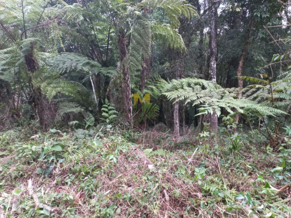 Imagem Chácara à Venda, em Recreio Da Serra - Piraquara Imagem Chácara à Venda, em Recreio Da Serra - Piraquara