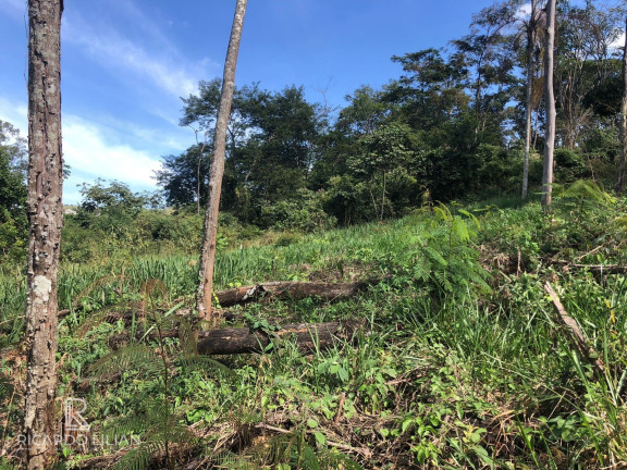 Imagem Terreno à Venda, 378 m² em Centro - Bom Jesus Dos Perdões Imagem Terreno à Venda, 378 m² em Centro - Bom Jesus Dos Perdões