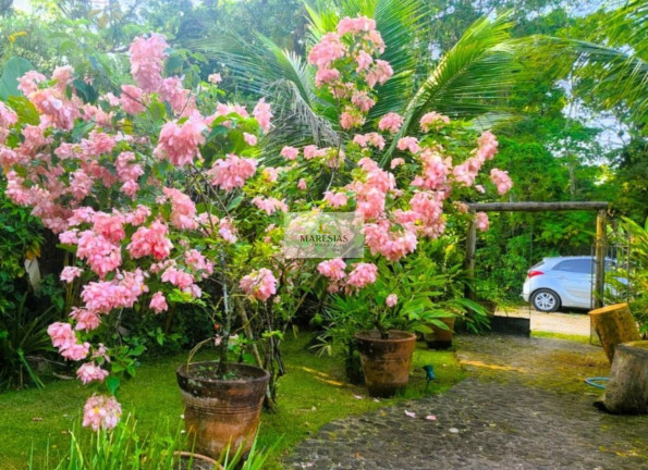 Imagem Casa com 4 Quartos à Venda, 250 m² em Maresias - São Sebastião