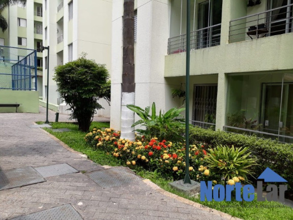 Imagem Apartamento com 2 Quartos à Venda, 49 m² em Vila Amélia - São Paulo