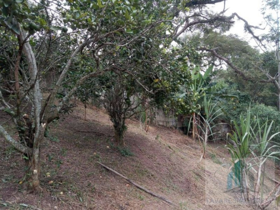 Imagem Chácara com 2 Quartos à Venda, 3.000 m² em Chácaras Vista Alegre - Arujá Imagem Chácara com 2 Quartos à Venda, 3.000 m² em Chácaras Vista Alegre - Arujá