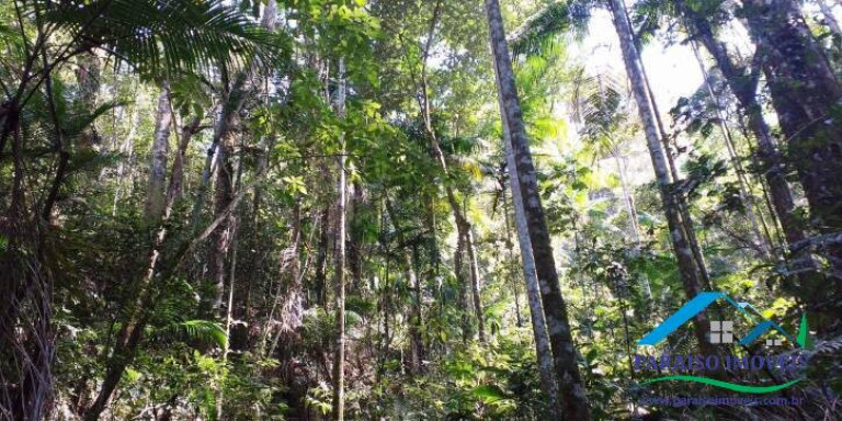 Imagem Chácara à Venda, 155 m² em Centro - Paraisópolis