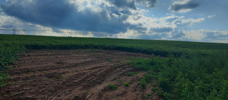Imagem Fazenda à Venda, 70 m² em Rural - Itapetininga Imagem Fazenda à Venda, 70 m² em Rural - Itapetininga
