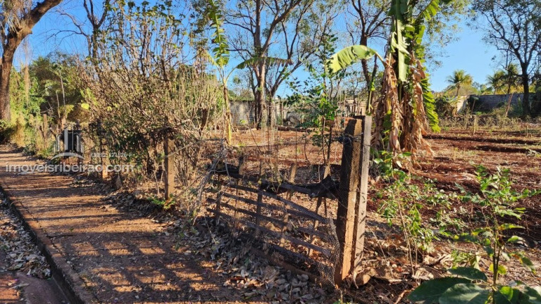 Imóvel à Venda, 388 m² em Recreio Das Acácias - Ribeirão Preto