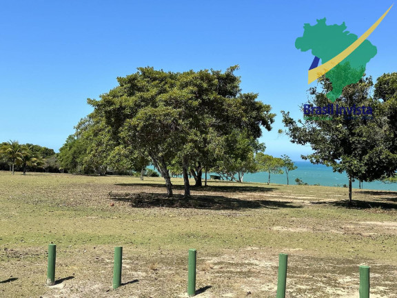 Imagem Terreno à Venda, em Trancoso - Porto Seguro Imagem Terreno à Venda, em Trancoso - Porto Seguro