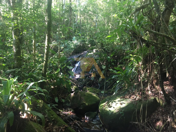 Imagem Fazenda à Venda, 15 m² em Laranjal - Imaruí Imagem Fazenda à Venda, 15 m² em Laranjal - Imaruí