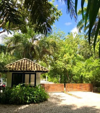 Imagem Terreno à Venda, 450 m² em Praia Do Forte - Mata De São João Imagem Terreno à Venda, 450 m² em Praia Do Forte - Mata De São João