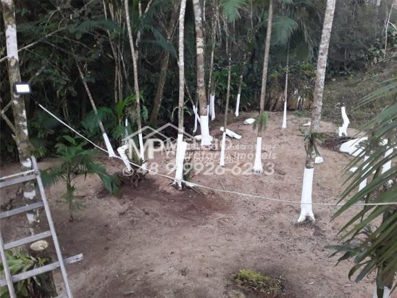 Imagem Imóvel à Venda, em Boa Esperança - Major Gercino Imagem Imóvel à Venda, em Boa Esperança - Major Gercino