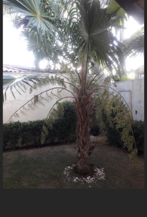 Imagem Casa com 4 Quartos à Venda, 180 m² em Buraquinho - Lauro De Freitas Imagem Casa com 4 Quartos à Venda, 180 m² em Buraquinho - Lauro De Freitas