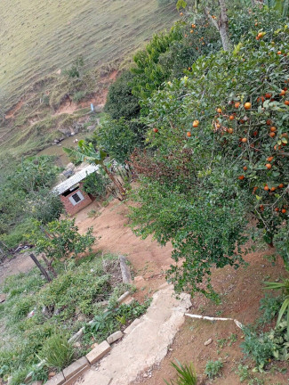 Imagem Chácara com 3 Quartos à Venda, 850 m² em Catuçaba - São Luíz Do Paraitinga Imagem Chácara com 3 Quartos à Venda, 850 m² em Catuçaba - São Luíz Do Paraitinga