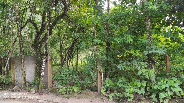 Imagem Terreno à Venda, 5.000 m² em Aldeia Dos Camarás - Camaragibe Imagem Terreno à Venda, 5.000 m² em Aldeia Dos Camarás - Camaragibe