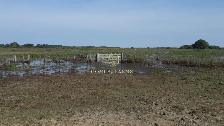 Imagem Imóvel com 3 Quartos à Venda, 88.000 m² em Zona Rural - Poconé Imagem Imóvel com 3 Quartos à Venda, 88.000 m² em Zona Rural - Poconé