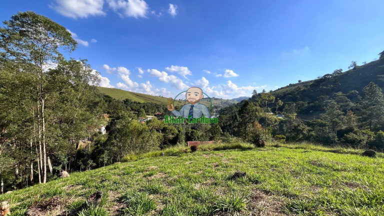 Imagem Chácara à Venda, 8.000 m² em Centro - Paraibuna Imagem Chácara à Venda, 8.000 m² em Centro - Paraibuna