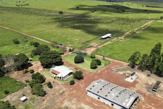 Imagem Fazenda à Venda, 18.420.000 m² em Zona Rural - Darcinópolis Imagem Fazenda à Venda, 18.420.000 m² em Zona Rural - Darcinópolis