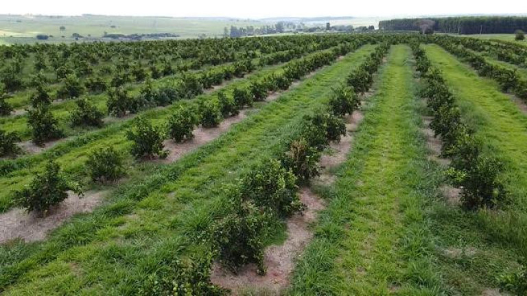 Imagem Fazenda à Venda, 121 m² em Rio Pardo - águas De Santa Bárbara