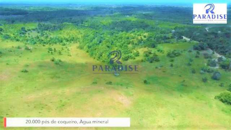 Imagem Fazenda à Venda, 2.790.700 m² em Zona Rural - Entre Rios Imagem Fazenda à Venda, 2.790.700 m² em Zona Rural - Entre Rios