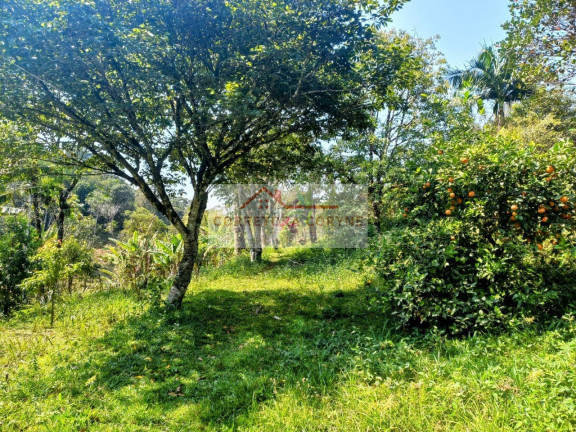 Imagem Terreno à Venda, 24.000 m² em Palmeiras - Juquitiba Imagem Terreno à Venda, 24.000 m² em Palmeiras - Juquitiba